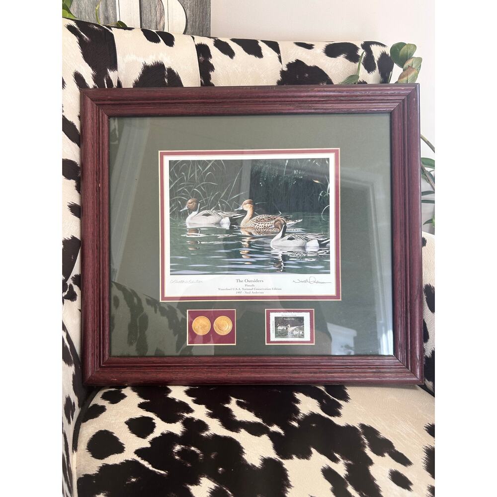 'The Outsiders' by Neal Anderson -1997